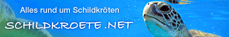 Wissen und Infos rund um Schildkr�ten