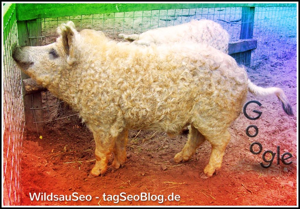 Wildsauseo-Rezept