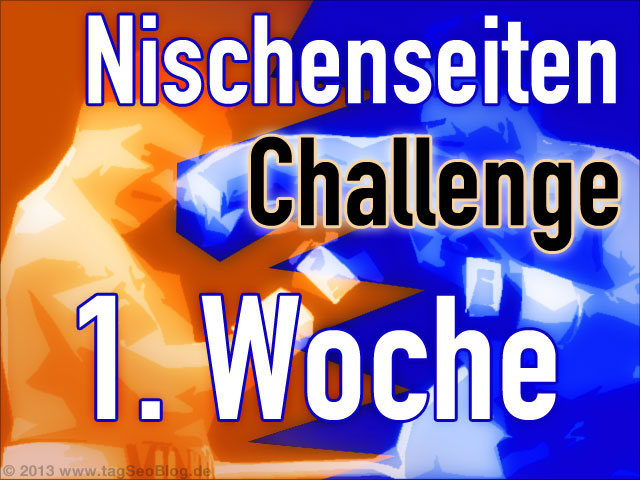 1. Wochenreport zur Nischenseiten-Challenge 2014