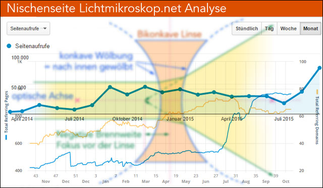 Analyse der Lichtmikroskop-Website nach 1,5 Jahren