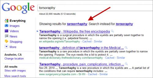 torsoraphy google result (vorne ein "korrekter" Treffer)