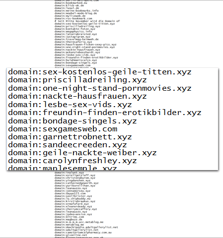 Ausschnitt aus der Disavow-Datei von Brillen-Sehhilfen.de