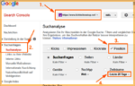 Nischenseiten Seo-Workflow