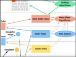 Bilder-SEO für Google Bildersuche