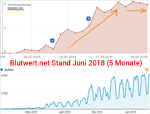 Blutwert.net nach 5 Monaten