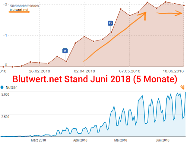 Blutwert.net nach 5 Monaten (Teaserbild, muss sein, für Social-Media)