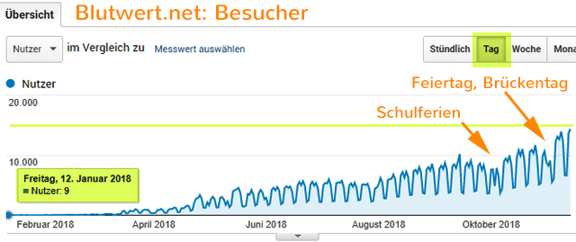 Besucherstatistik der Website Blutwert.net - seit dem Start Anfang 2018