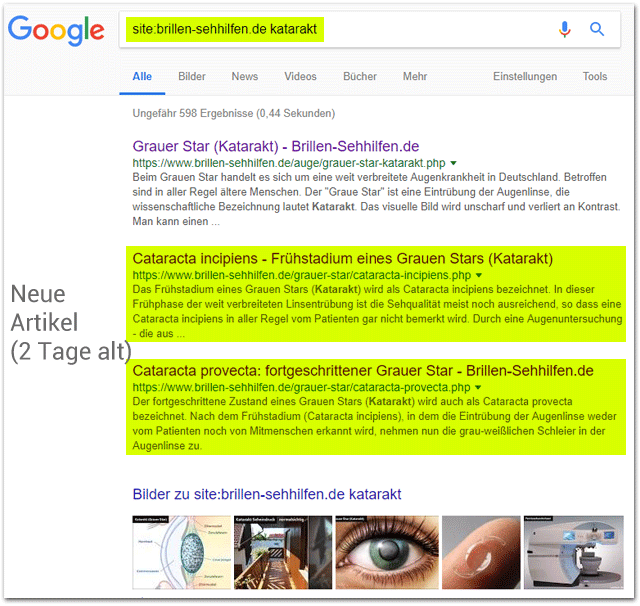 Google Siteabfrage mit Keyword (ohne Zeitbeschränkung)