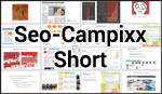 Seo-Campixx Präsi (short)