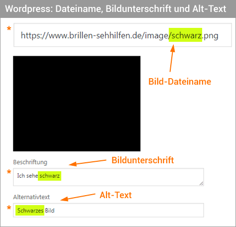 Wordpress Felder befüllen für Bilder-SEO