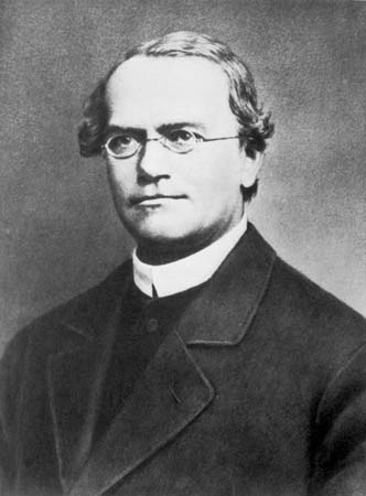 Gregor Mendel