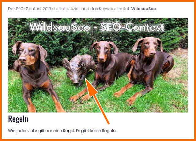 Seo-Contest "Wildsauseo" (Screenshot von der Ausrichterseite)