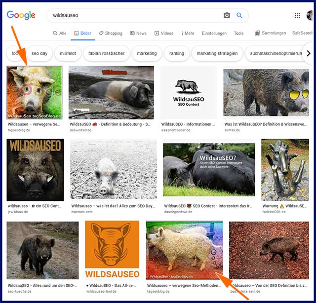 Wildsauseo Bilder-Ranking (Stand: 1.11.2019)