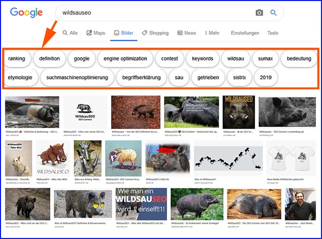 WildsauSeo in der Google Bildersuche - Grundlage der Content-Analyse